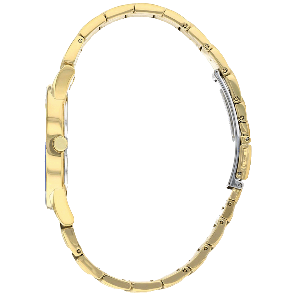 Citizen AU2002-52E - case profile