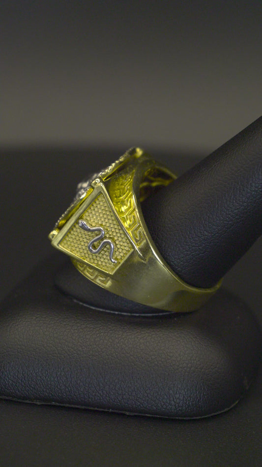 10K Yellow Gold Men's Ring Greek-Key Frame and Snake 0.44 ct Natural Diamond
