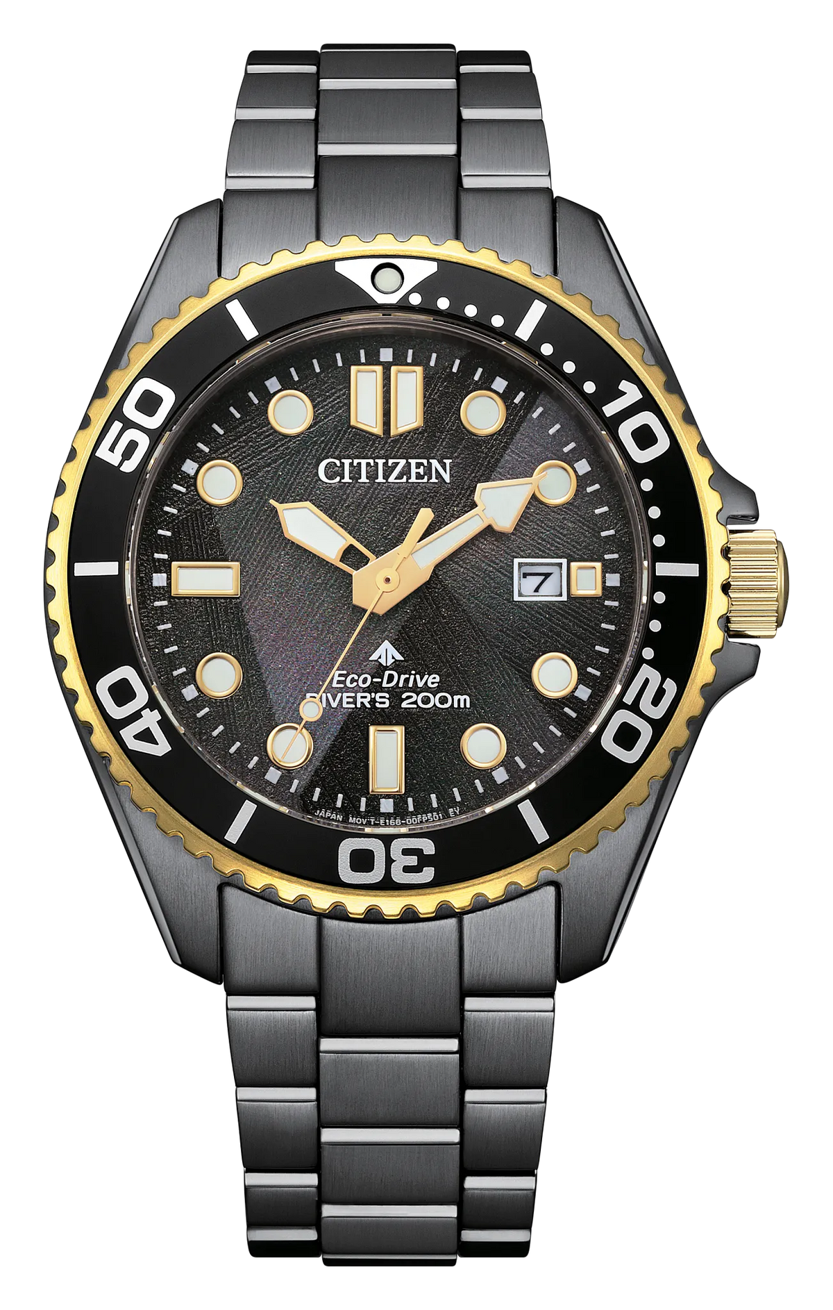 Citizen Promaster Dive LIGHT in BLACK BN0264-53E Men's Gray Eco-Drive Watch - front view